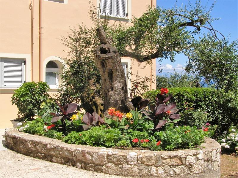Apostolos & Eleni Family Apartments Perama (Corfu) Exterior foto