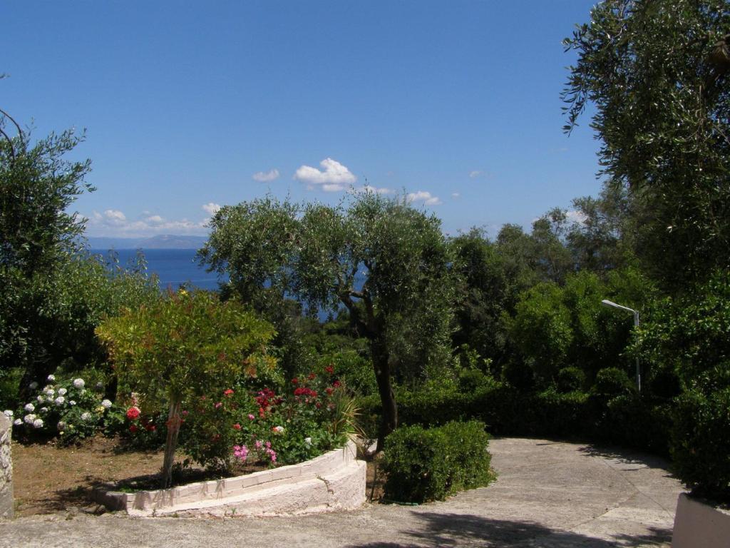 Apostolos & Eleni Family Apartments Perama (Corfu) Exterior foto