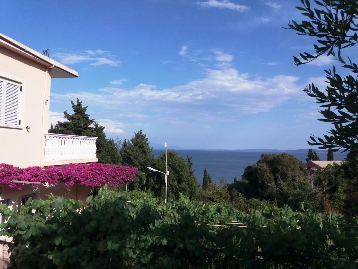 Apostolos & Eleni Family Apartments Perama (Corfu) Exterior foto